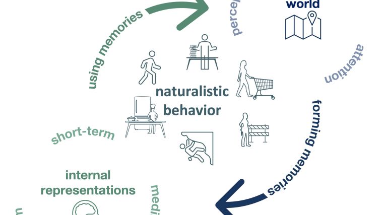 Adaptive Behaviour & Cognition